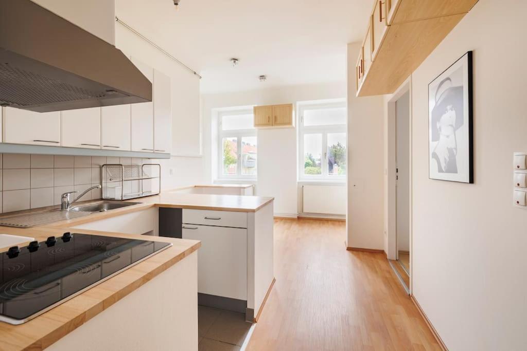 Beautiful 1 Bedroom Apartment Near Schoenbrunn เวียนนา ภายนอก รูปภาพ